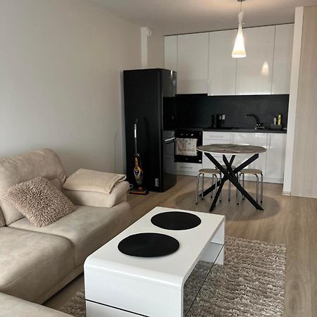 Ragaines 6 Apartamentai Klaipėda Esterno foto